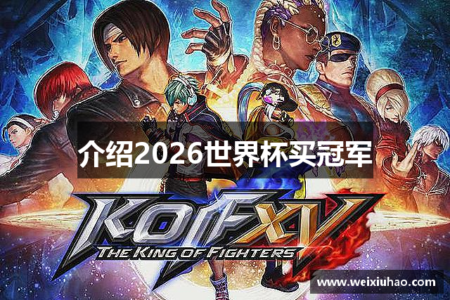 介绍2026世界杯买冠军
